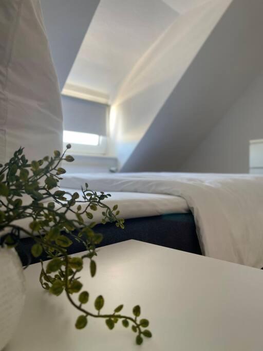 Gemuetliche, Helle Wohnung In Paderborn Exterior foto